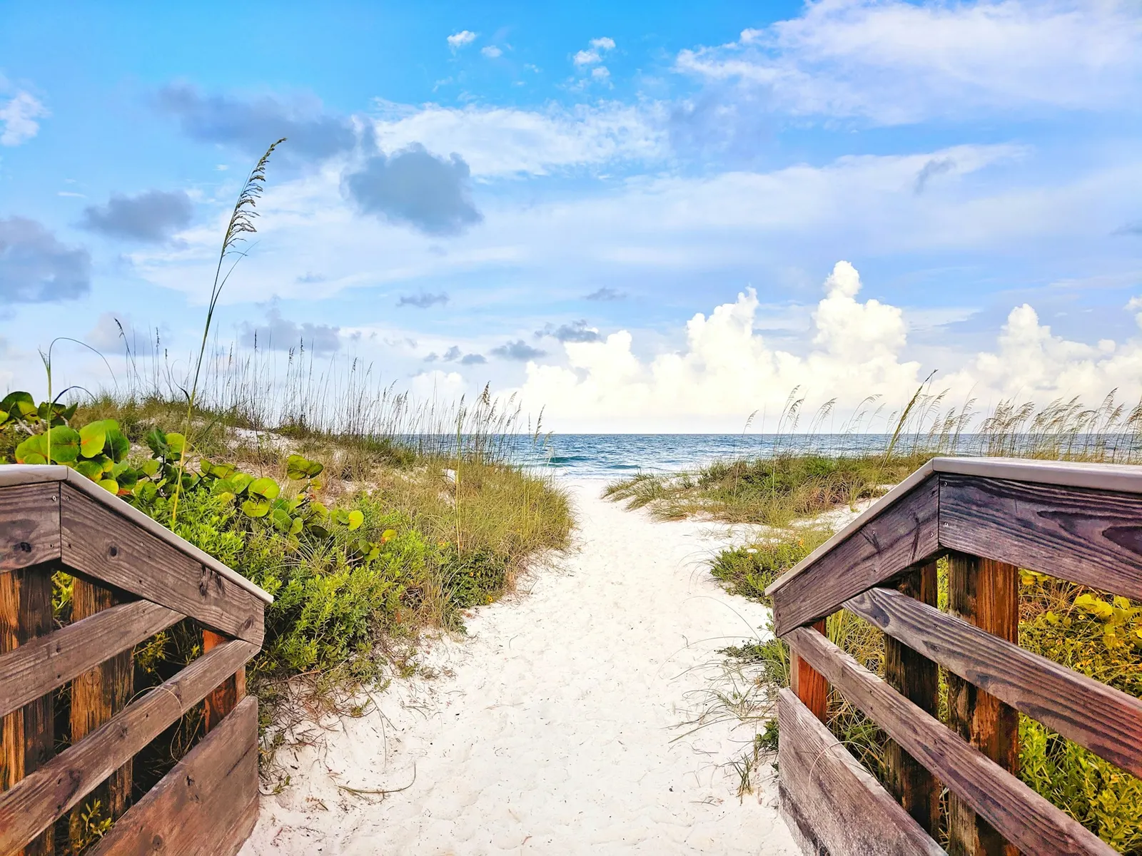 Boardwalk and sea oats leading to the beach near North Palm Beach
